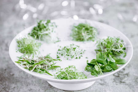 field raw food meal on a white plateの写真素材