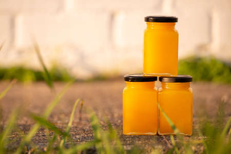 Jar of honey on the background of nature. food sunlightの写真素材