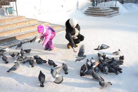 Mother and daughter in the winter feeding pigeons.の写真素材