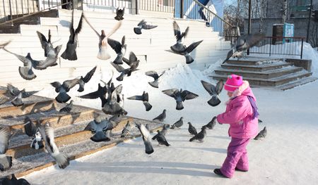 The little girl winter day grain fed pigeons. の写真素材