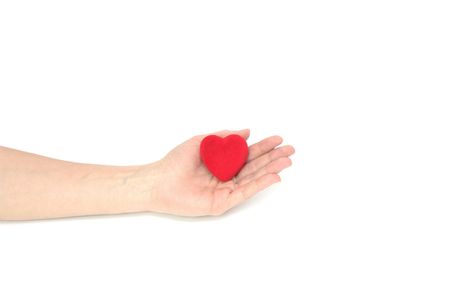 The Heart in palm on white background.の写真素材