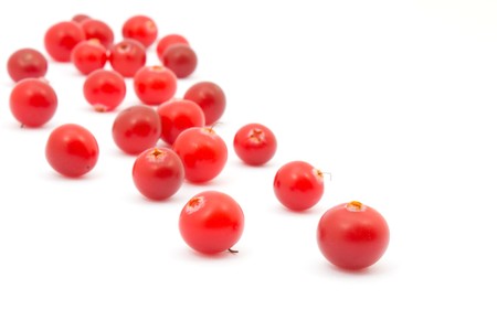 Cranberries on white background.の写真素材