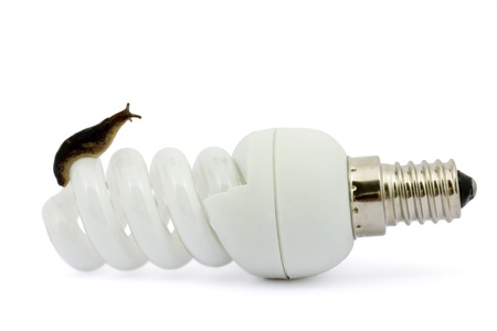 Snail on a lamp on a white background.の写真素材