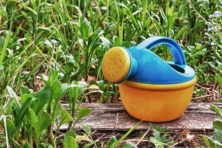 A water can standing in a green grassの写真素材
