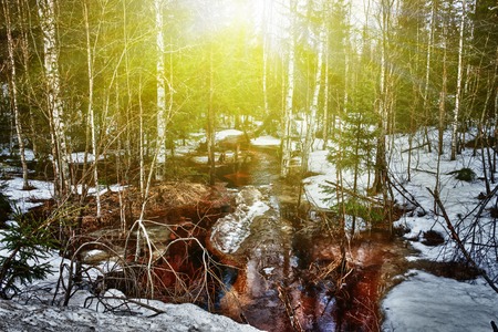 Dark river in the winter mountain forest.の写真素材