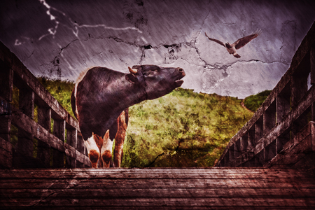 The bull bellows on the bridge in the rain. Photos in the grunge style.の写真素材