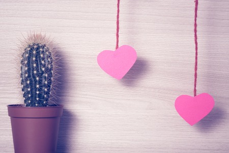 Red hearts hanging with a cactus. Photo in retro style.の写真素材