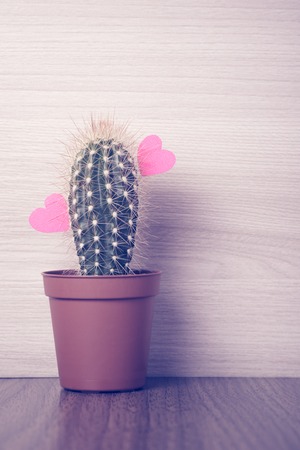 Red hearts hanging with a cactus. Photo in retro style.の写真素材