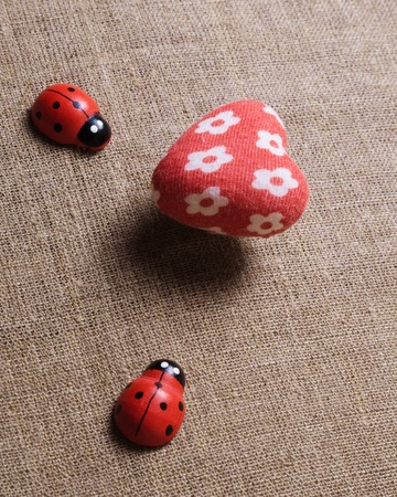 Heart and ladybug on the fabric. Valentine's Day.の写真素材