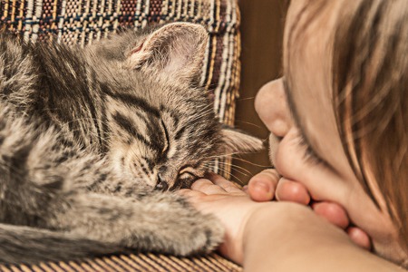 Girl with kitten photographed asleep.の写真素材