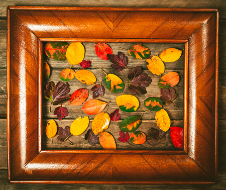 Autumn leaves on an old wooden background with copy space.