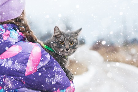 A young girl hugs her beloved kitten on a winter Christmas day. He is walking along the road.