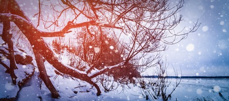 Winter background with sun beams.の写真素材