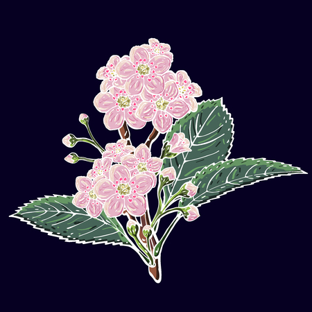 Vector flower on isolated background. Decorative plant.のイラスト素材