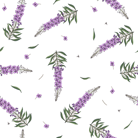 Vector seamless pattern from iwan tea.のイラスト素材