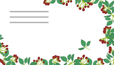 Summer templates with berries.のイラスト素材