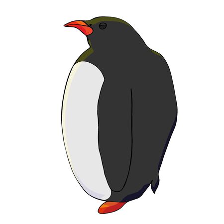 Funny penguin on a whiteのイラスト素材