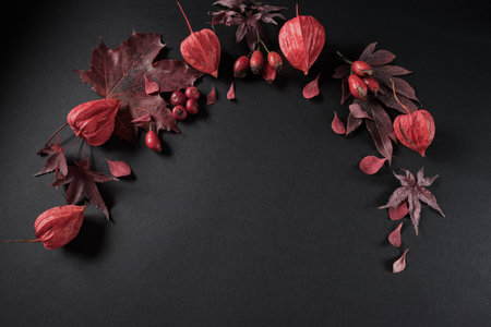 Autumn black-and-red still-life.