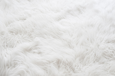 White fur backgroundの写真素材