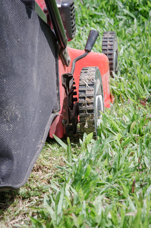 People are cutting the grass in the middle of sunny days.