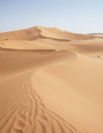 the empty quarter  and outdoor  sand  dune in oman old desert rub al khaliの写真素材