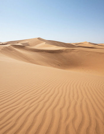 the empty quarter  and outdoor  sand  dune in oman old desert rub al khaliの写真素材