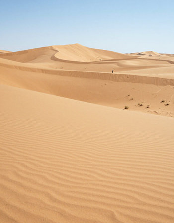 the empty quarter  and outdoor  sand  dune in oman old desert rub al khaliの写真素材