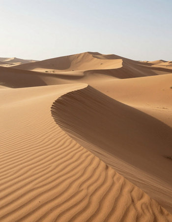the empty quarter  and outdoor  sand  dune in oman old desert rub al khali