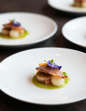 Seafood salad with scallops in white plate