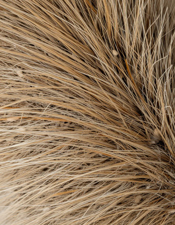 Close-up of the hair of a broom as a background.