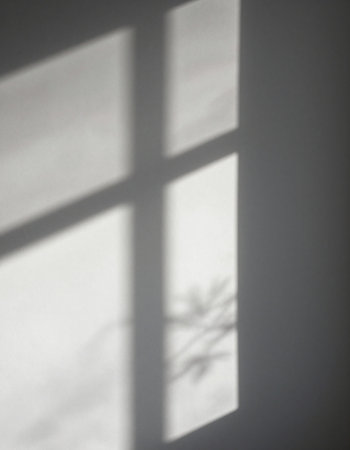 Shadow overlay effect for photo and mockups. Natural light casts shadows from the window.