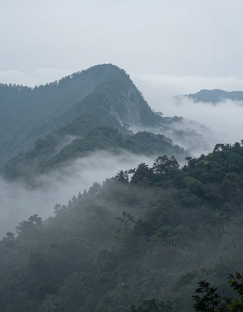 Mountain landscape in the mist at Doi Inthanon National Park, Chiang Mai, Thailandの写真素材