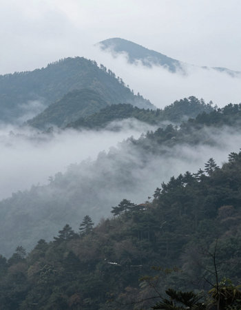 Mountain landscape with fog in the morning at Taipei, Taiwan.の写真素材