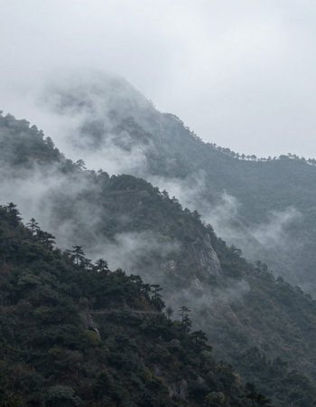 Mountain landscape in the mist and fog, closeup of photoの写真素材