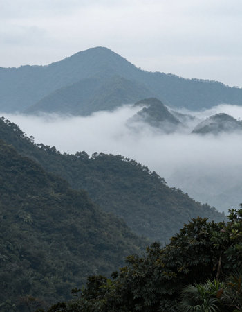 Mountain view of Doi Pha Tang at Chiangrai province, Thailand.