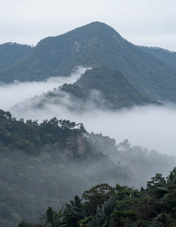 Mountain landscape in the mist at Doi Inthanon National Park, Chiang Mai, Thailandの写真素材