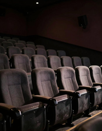 Rows of chairs in the auditorium of a theater or cinema