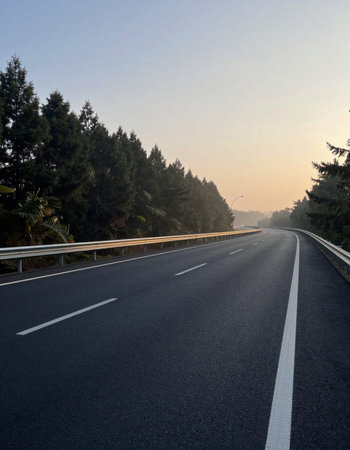 Asphalt road and pine trees in the mist, closeup of photo