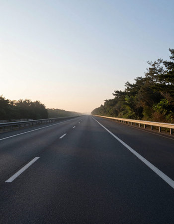 highway in the forest at sunset, closeup view of photo