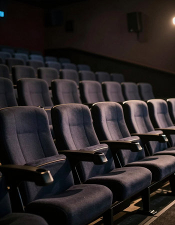 Rows of seats in the auditorium of a theater or cinema