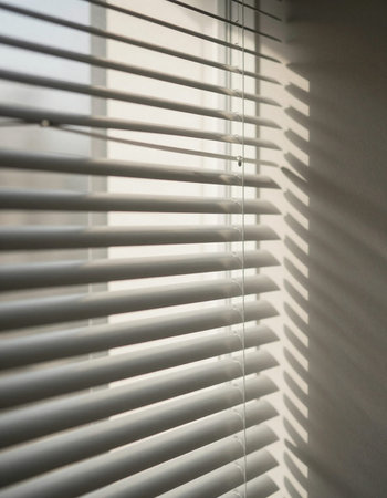 Window blinds in the room. Sunlight through the window.の写真素材