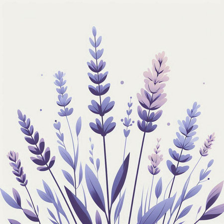 Lavender flowers vector illustration. Hand drawn lavender flowers.の写真素材