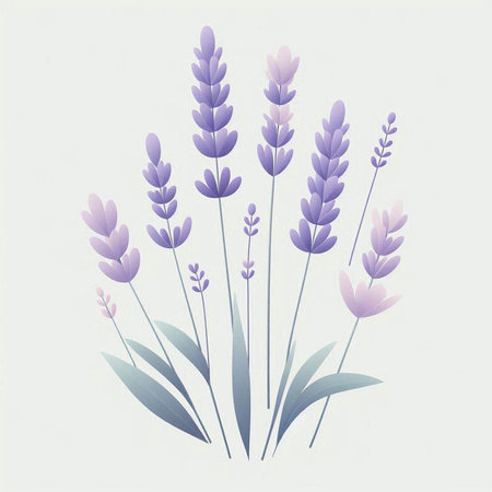Lavender flowers in watercolor style. Vector illustration for your design.の写真素材