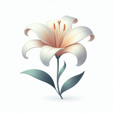 White lily flower isolated on a white background. Vector illustration.の写真素材