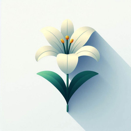 Illustration of a white lily on a light background with shadowの写真素材