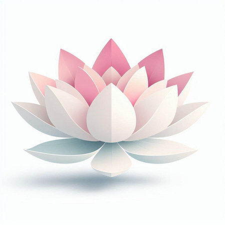 Beautiful lotus flower on the white background. Vector illustration.の写真素材