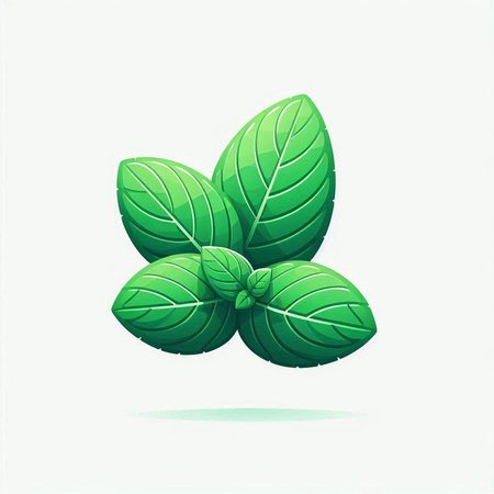 Fresh basil leaves on white background. Vector illustration. Eps 10.