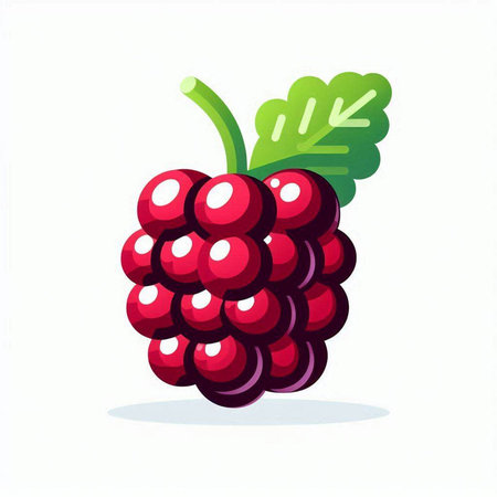Vector illustration of fresh blackberry with leaf isolated on white background.