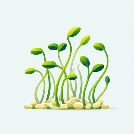 Growing seedlings. Vector illustration of green sprouts on white background.