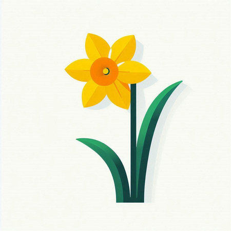 Narcissus flower on white background. Flat vector illustration.の写真素材
